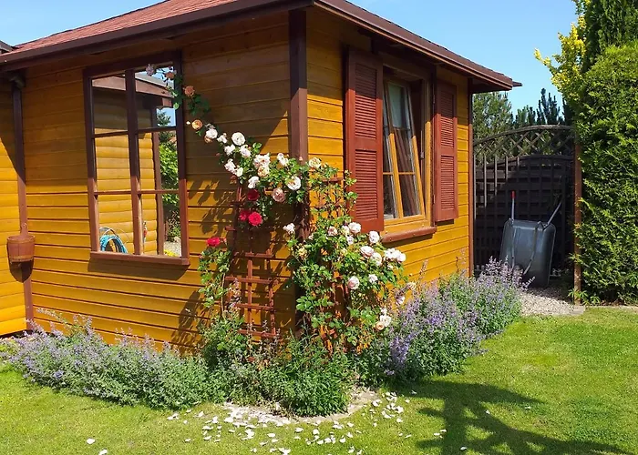 Letniskowy * Mrągowo